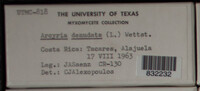 Image Associated With the Occurence